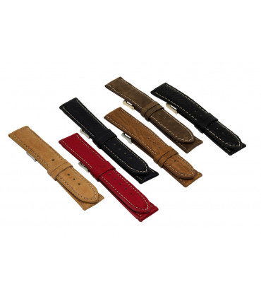 Colección VIOLETA (370)