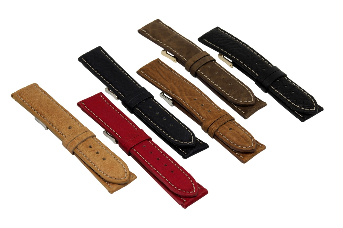 Colección VIOLETA (370)