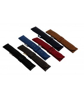 Colección SALVIA (380)