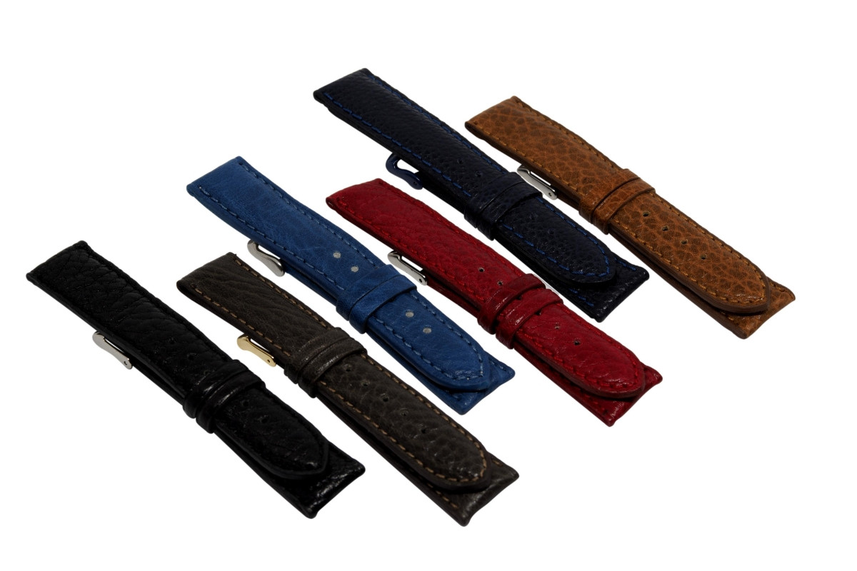 Colección SALVIA (380)