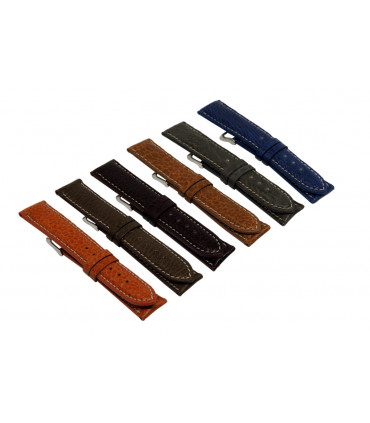 Colección ORQUIDEA (210)