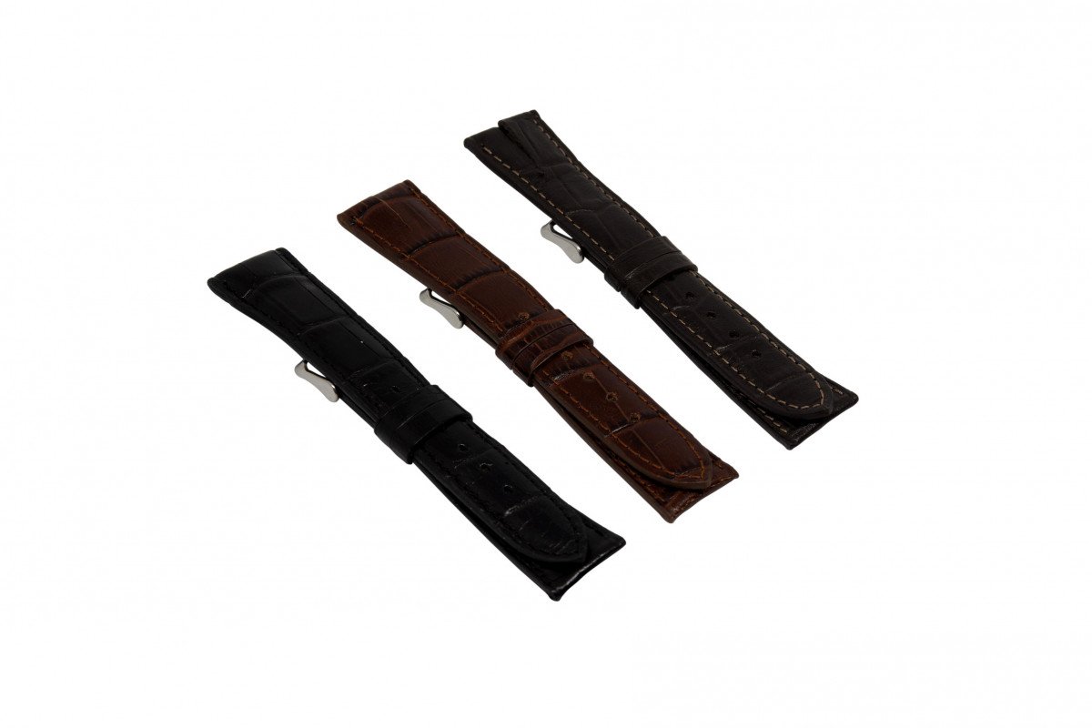 Colección BEGONIA (170)