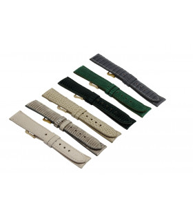 Colección TULIPAN (290)